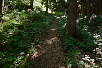 遊歩道のチップロード