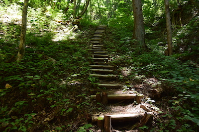 遊歩道の階段