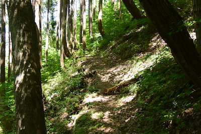 展望台手前の遊歩道